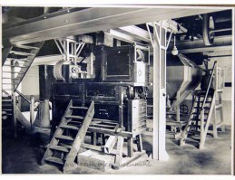 oude foto leeuw bier 1937 mouterij